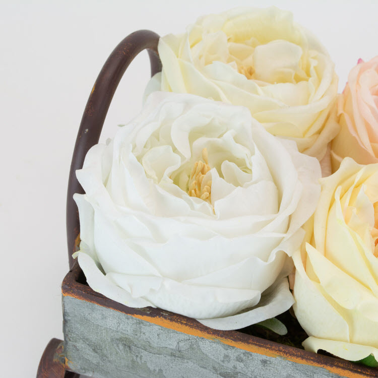 Real Touch White 17" English Rose Box/12