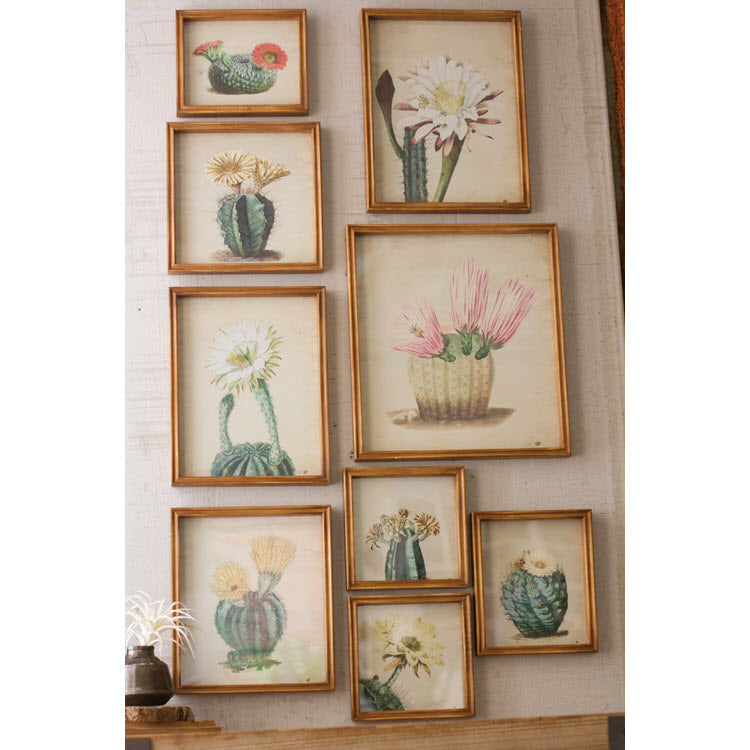 Cactus Flower Prints Under Glass Set/9