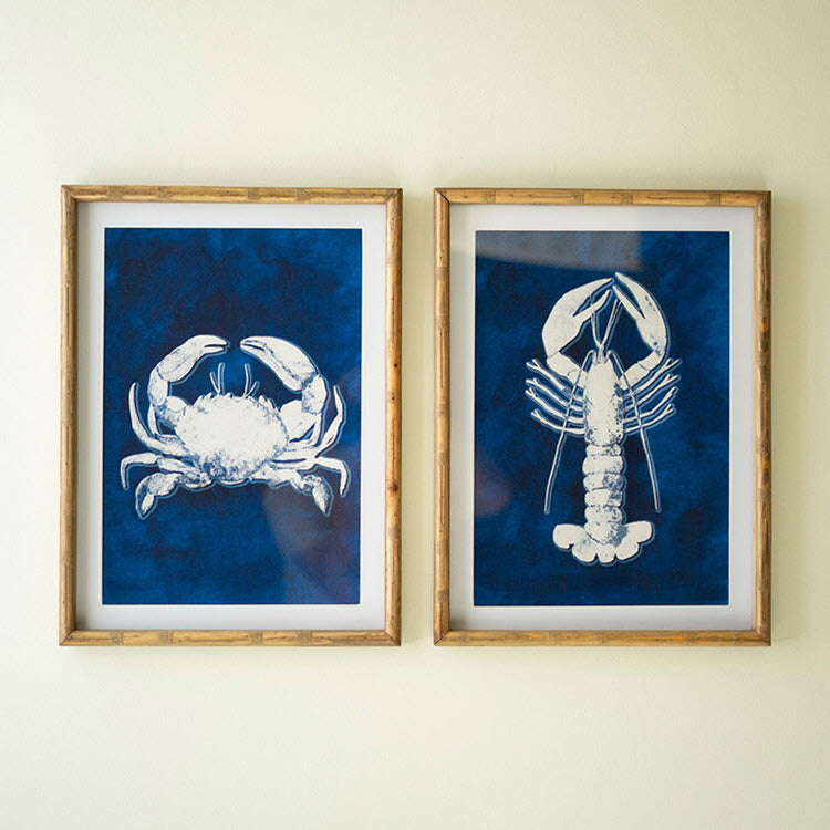Crustacean Prints Under Glass Set/2