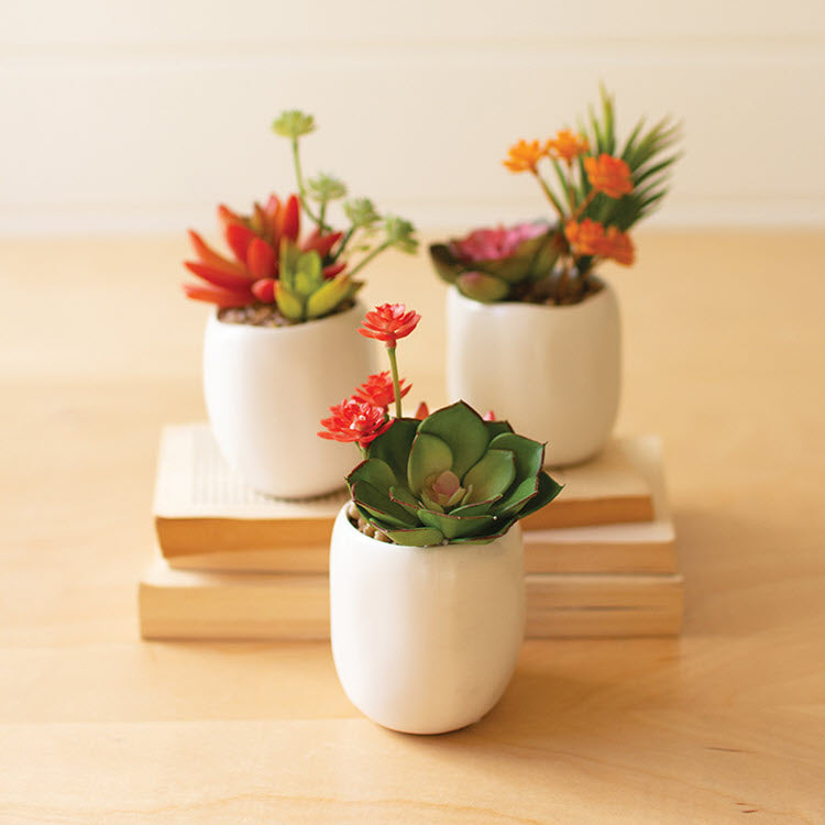 Artificial Succulent Plants in White Ceramic Pots Set/3