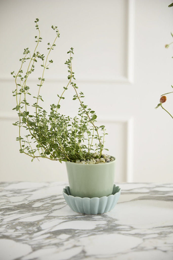 Springvale Pots with Saucers