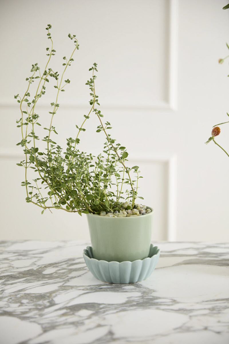 Accent Decor Springvale Pots with Saucers β A Colorful Farmhouse