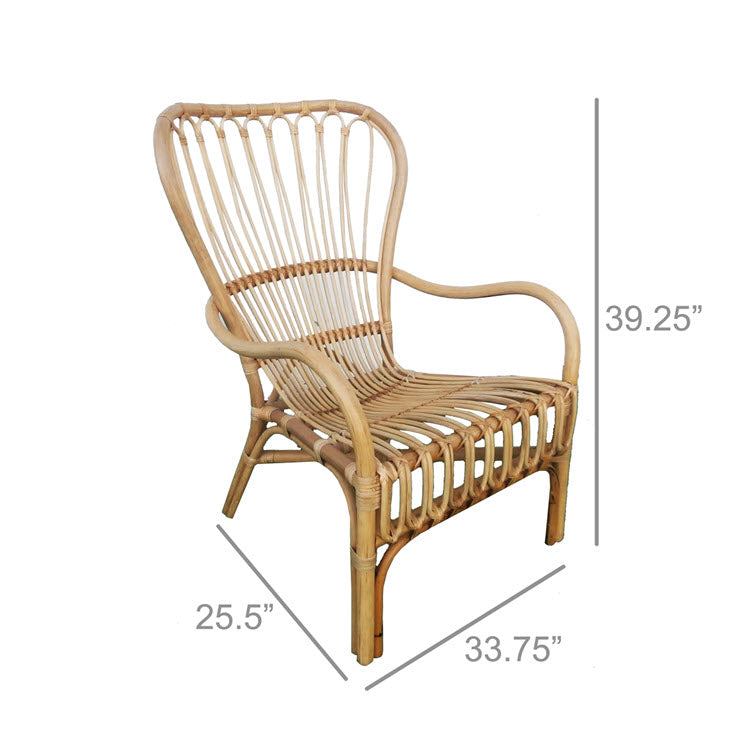 Rattan Arm Chair Natural Set/2
