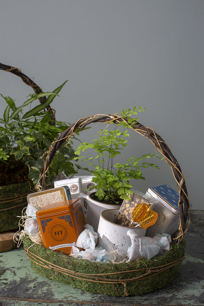 Bramble Collection Moss Baskets Set/2