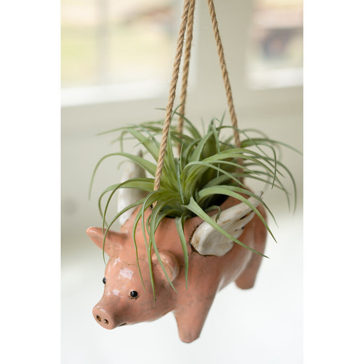 animal hanging planter Kalalou Ceramic Hanging Flying Pig Planter
