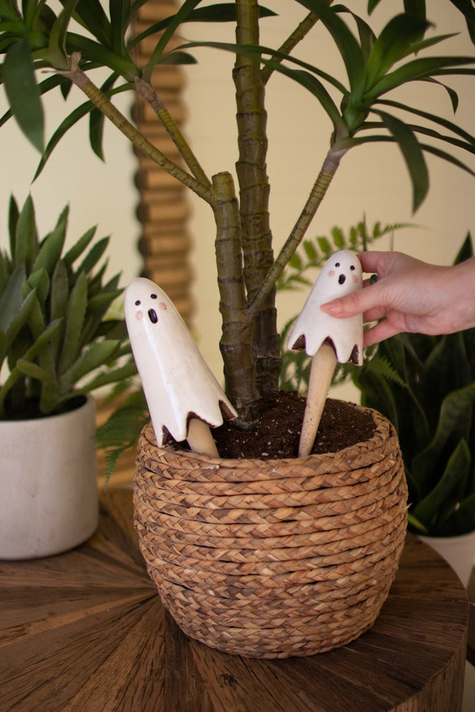 Ceramic Ghost Plant Sticks Set/4