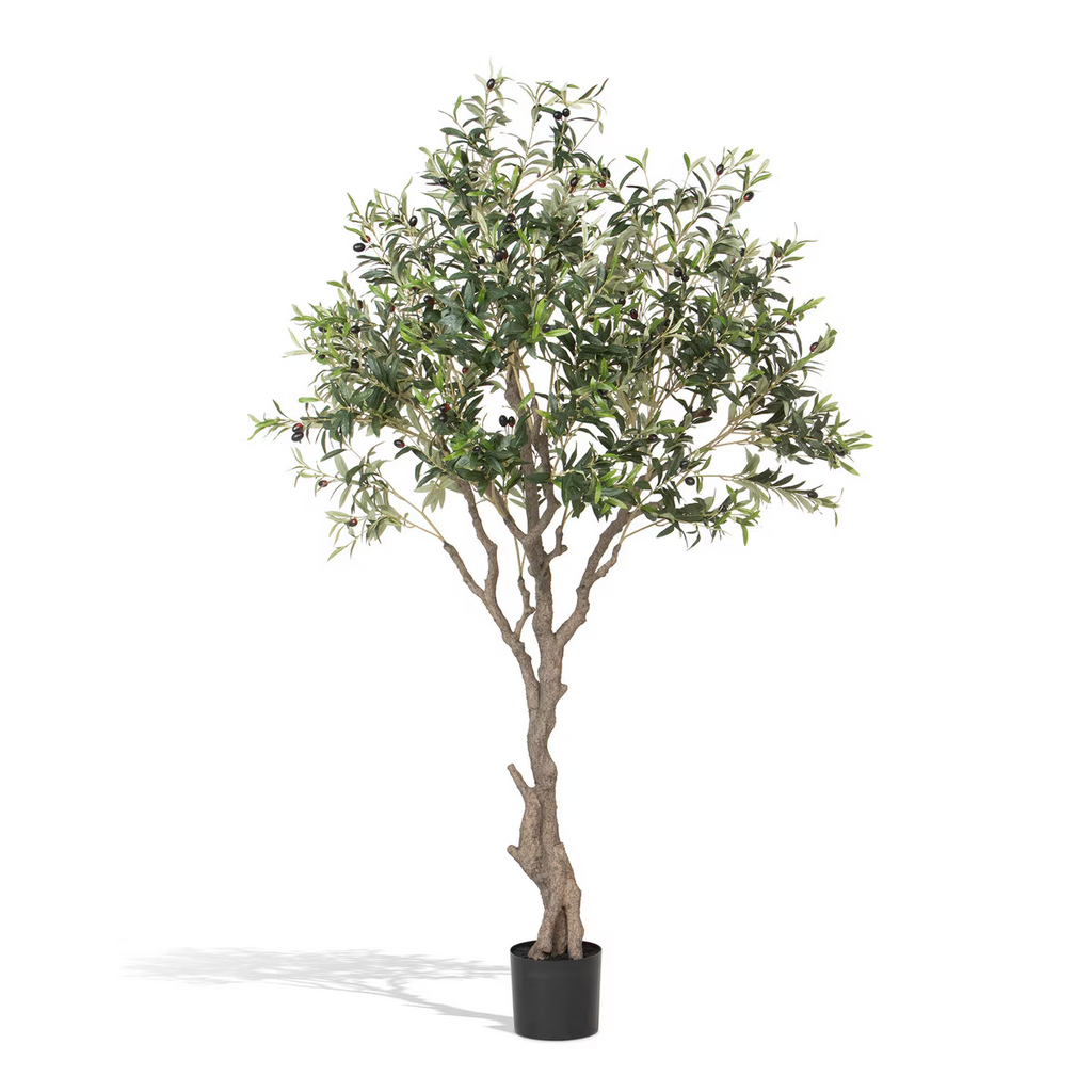 Faux Olive Tree with Weighted Black Pot 78"