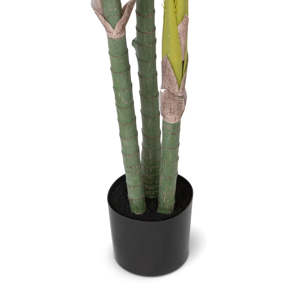 Faux Palm with Weighted Black Pot 82"