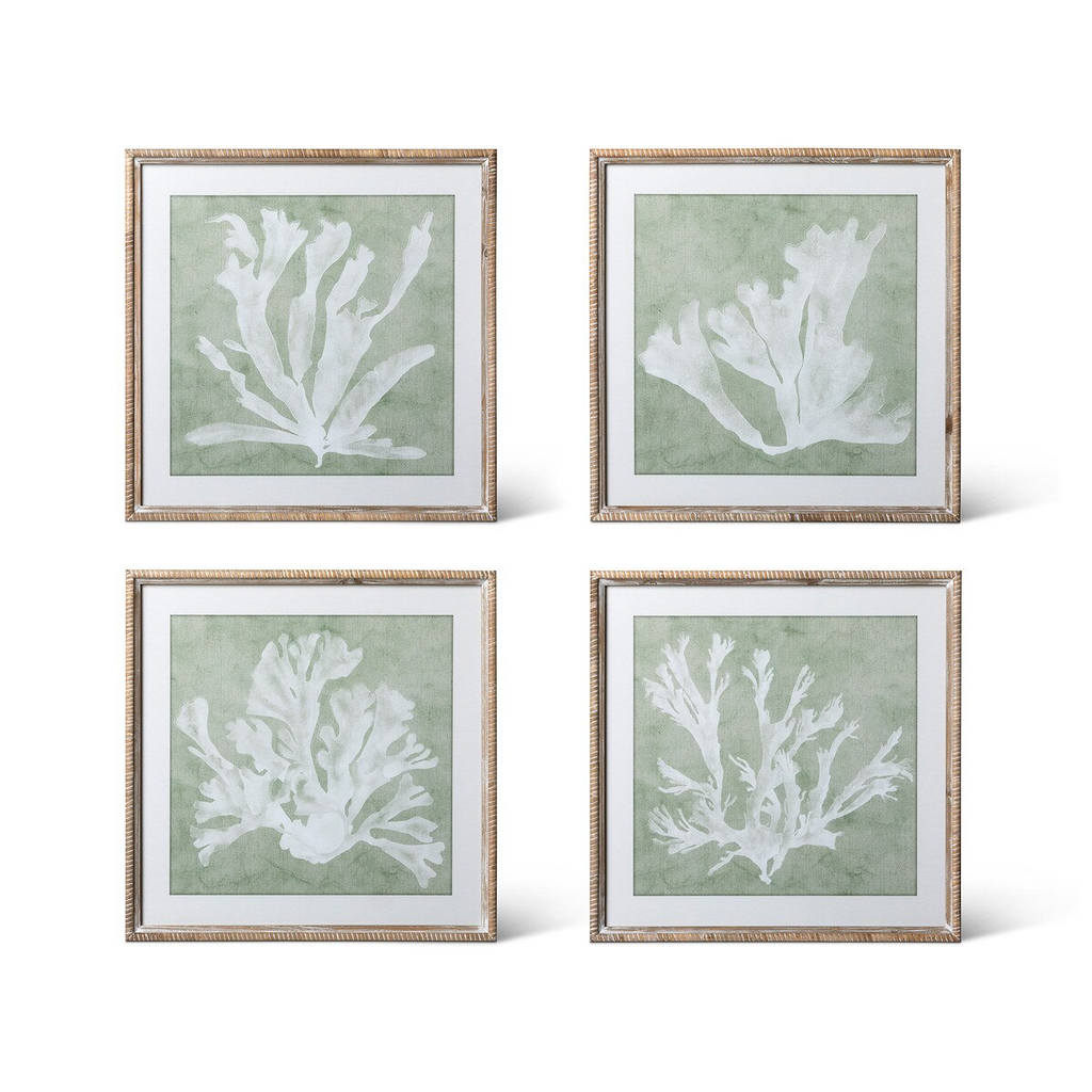 Isla Framed Coral Wall Art Set/4