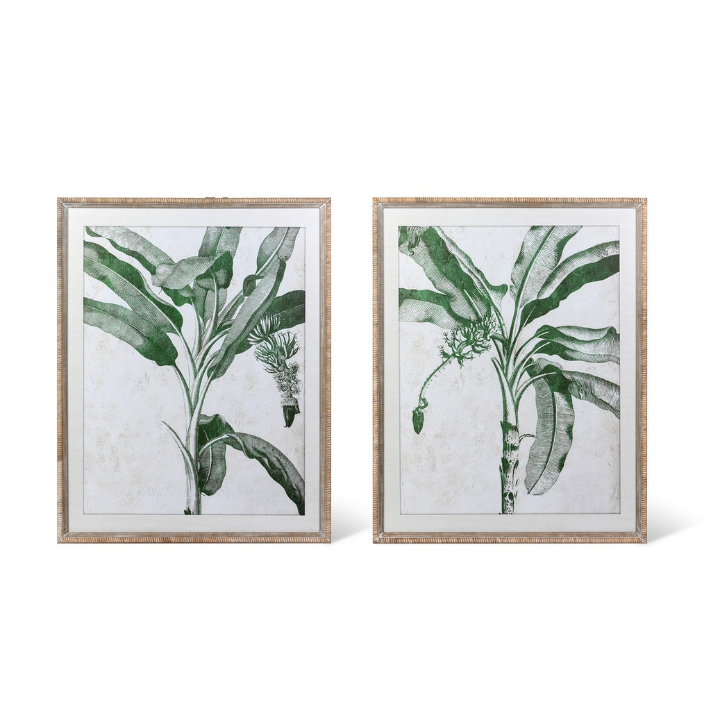 Blissful Banana Tree Framed Wall Art Set/2