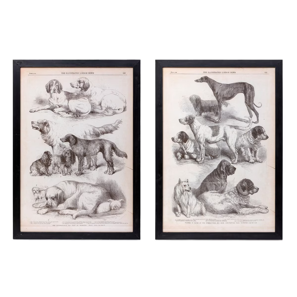 Canine Species Sepia Prints Set/2