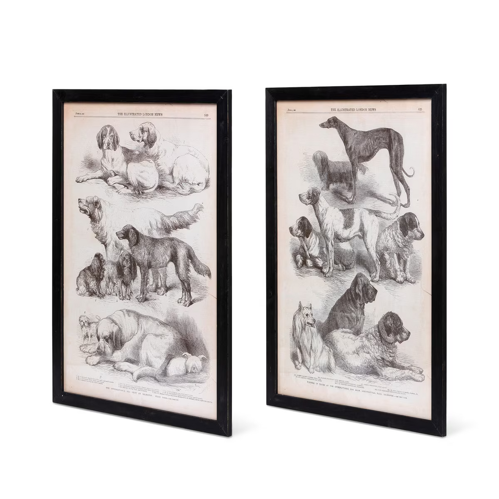 Canine Species Sepia Prints Set/2