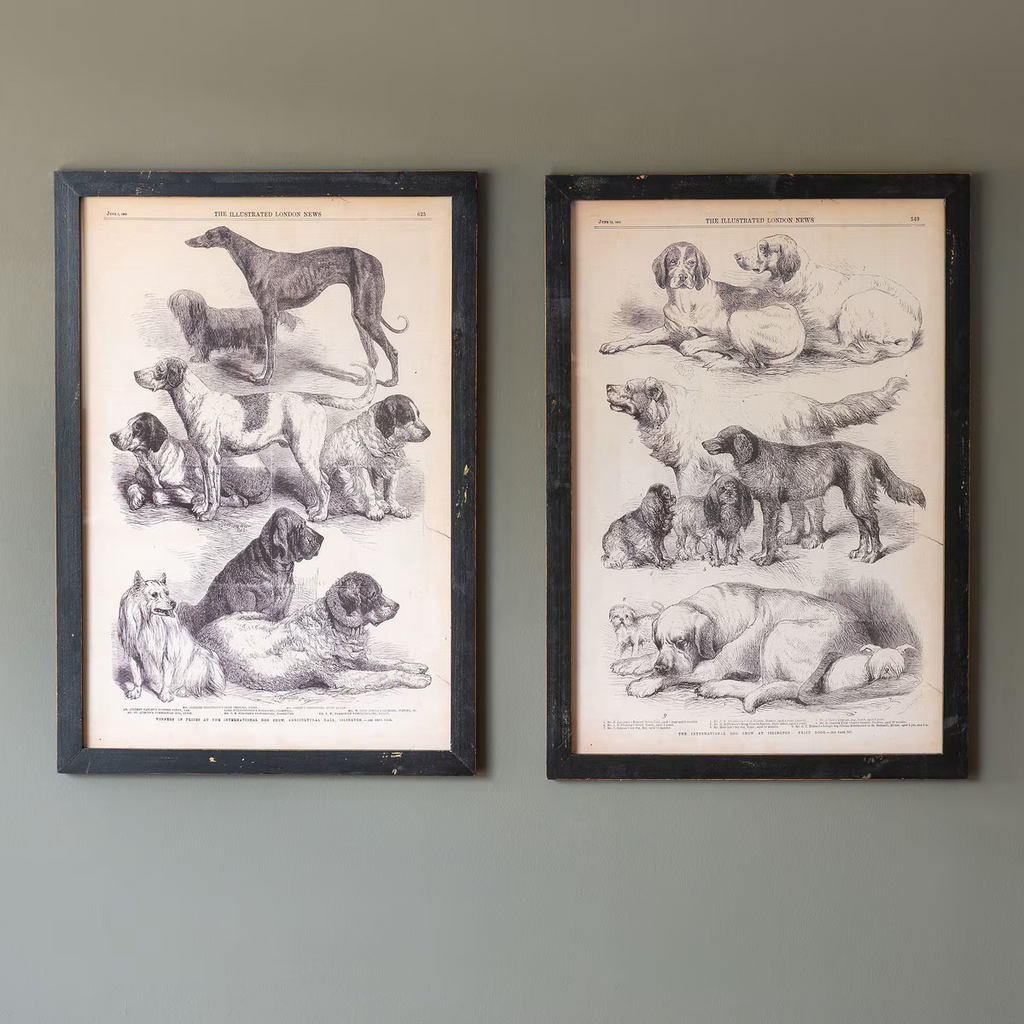 Canine Species Sepia Prints Set/2