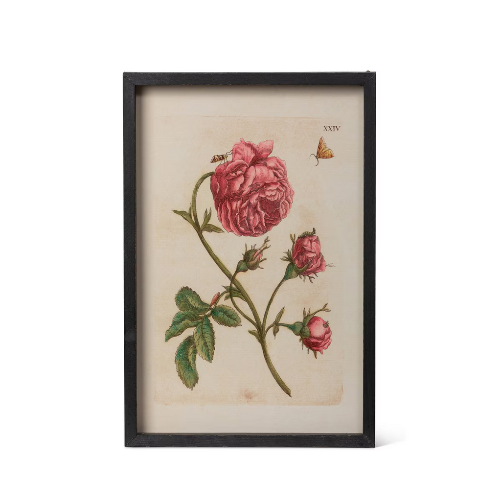 Jardin Boheme Botanical Prints Set/4
