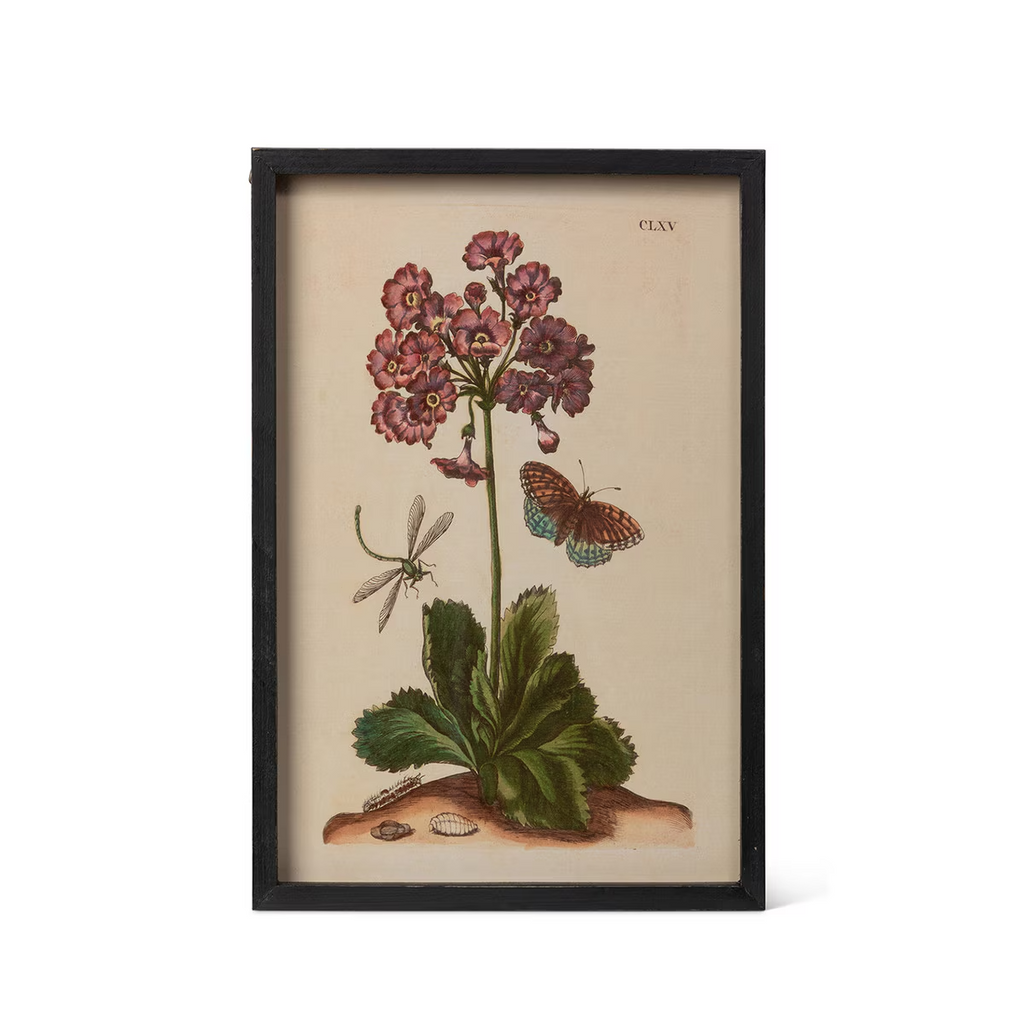 Jardin Boheme Botanical Prints Set/4
