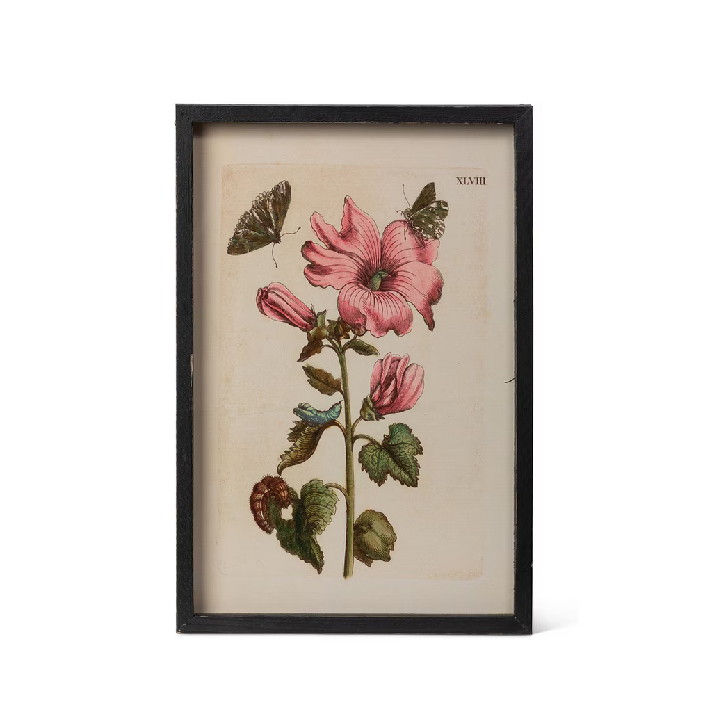 Jardin Boheme Botanical Prints Set/4