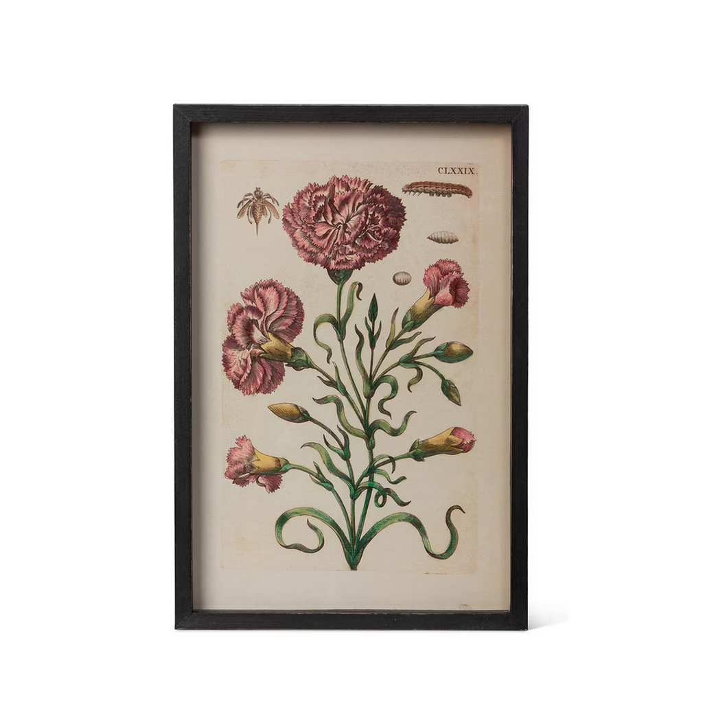 Jardin Boheme Botanical Prints Set/4