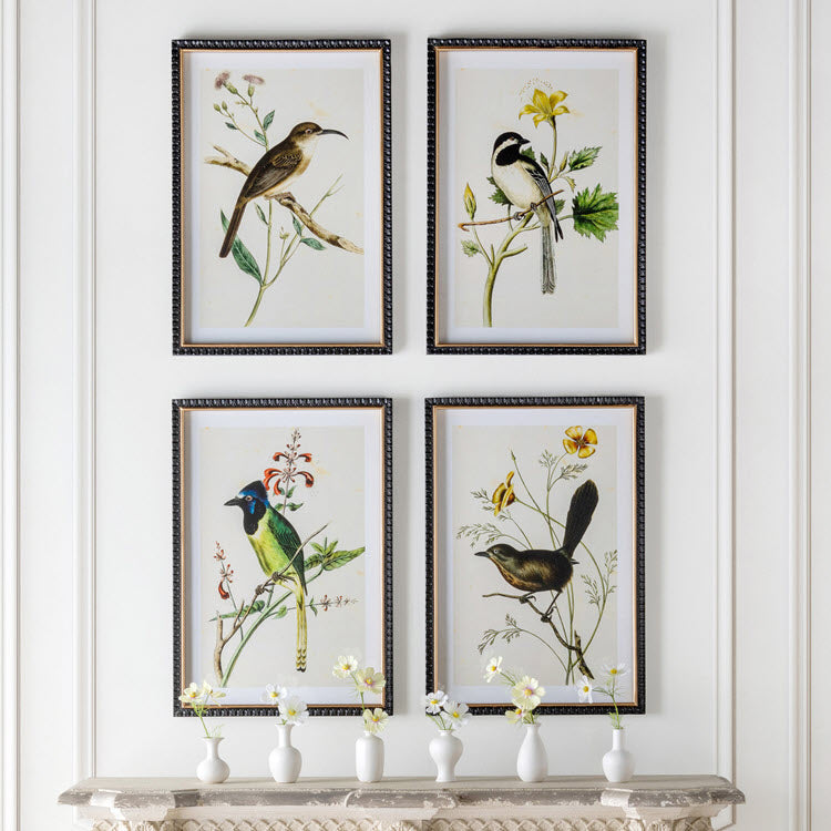Summer Bird Framed Prints Set/4