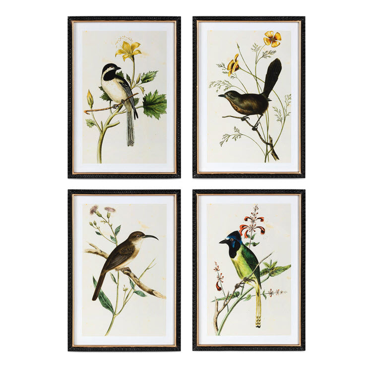 Summer Bird Framed Prints Set/4