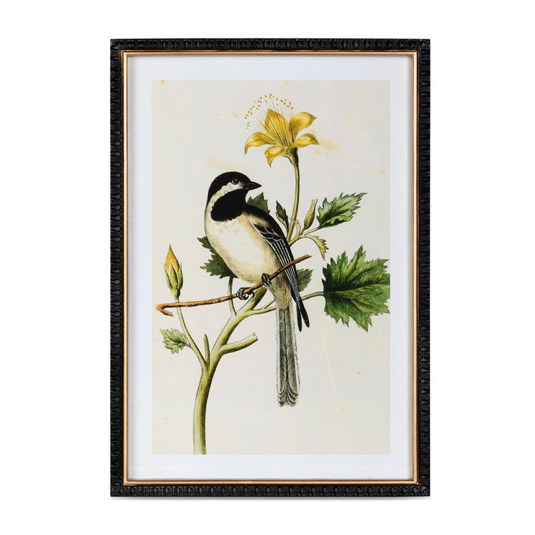 Summer Bird Framed Prints Set/4