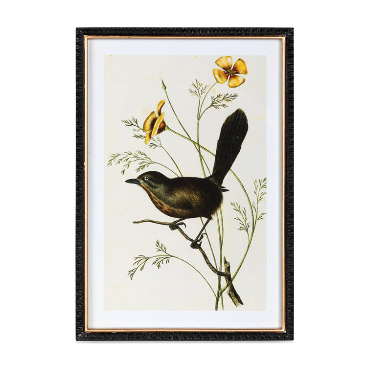 Summer Bird Framed Prints Set/4