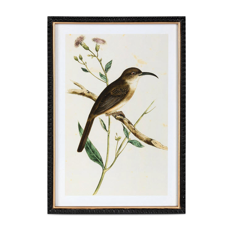Summer Bird Framed Prints Set/4