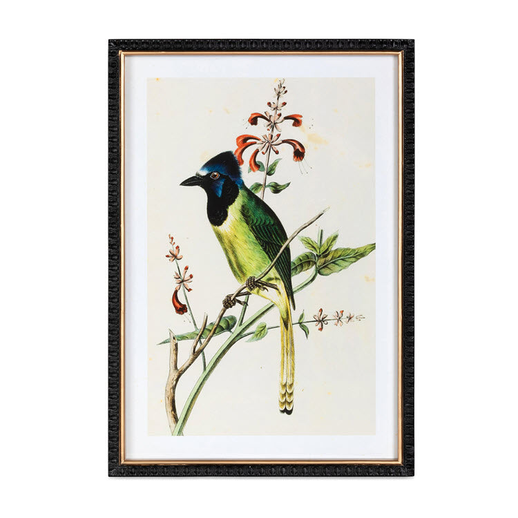 Summer Bird Framed Prints Set/4