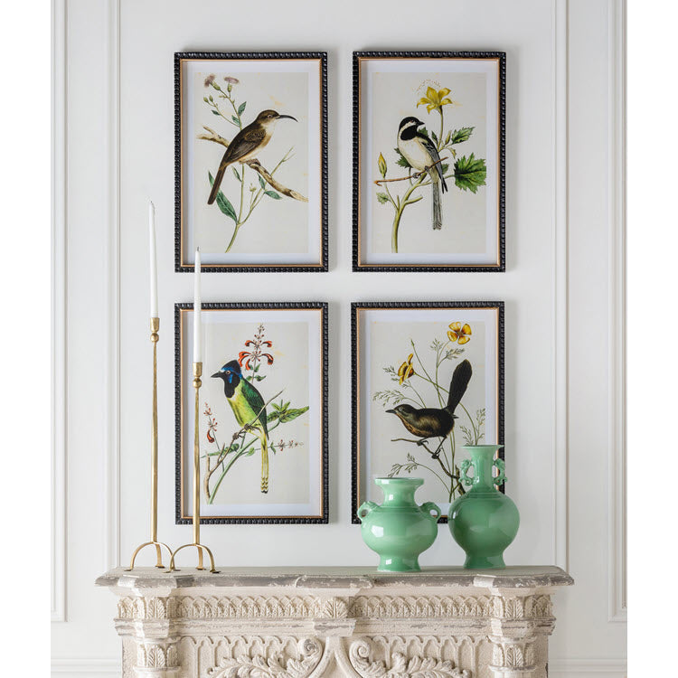 Summer Bird Framed Prints Set/4