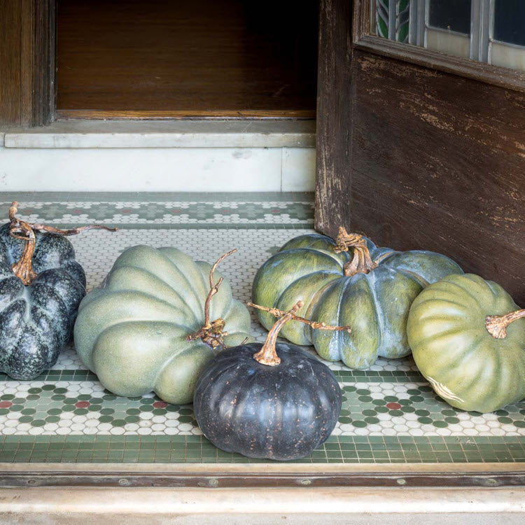 Green Heirloom Pumpkins Set/5