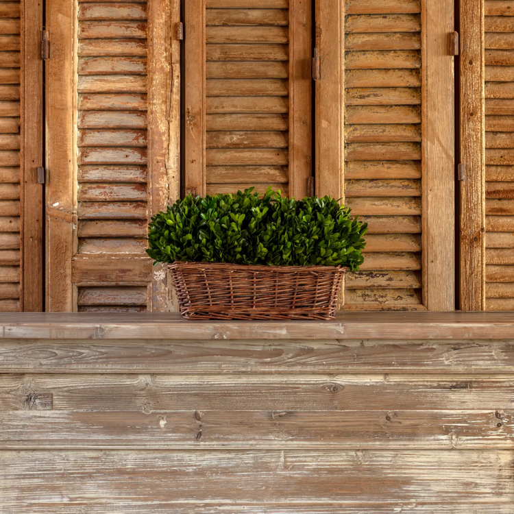 Large Preserved Boxwood Hedge in Basket