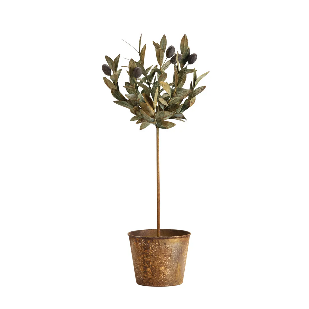 Olive Topiary Tole Potted