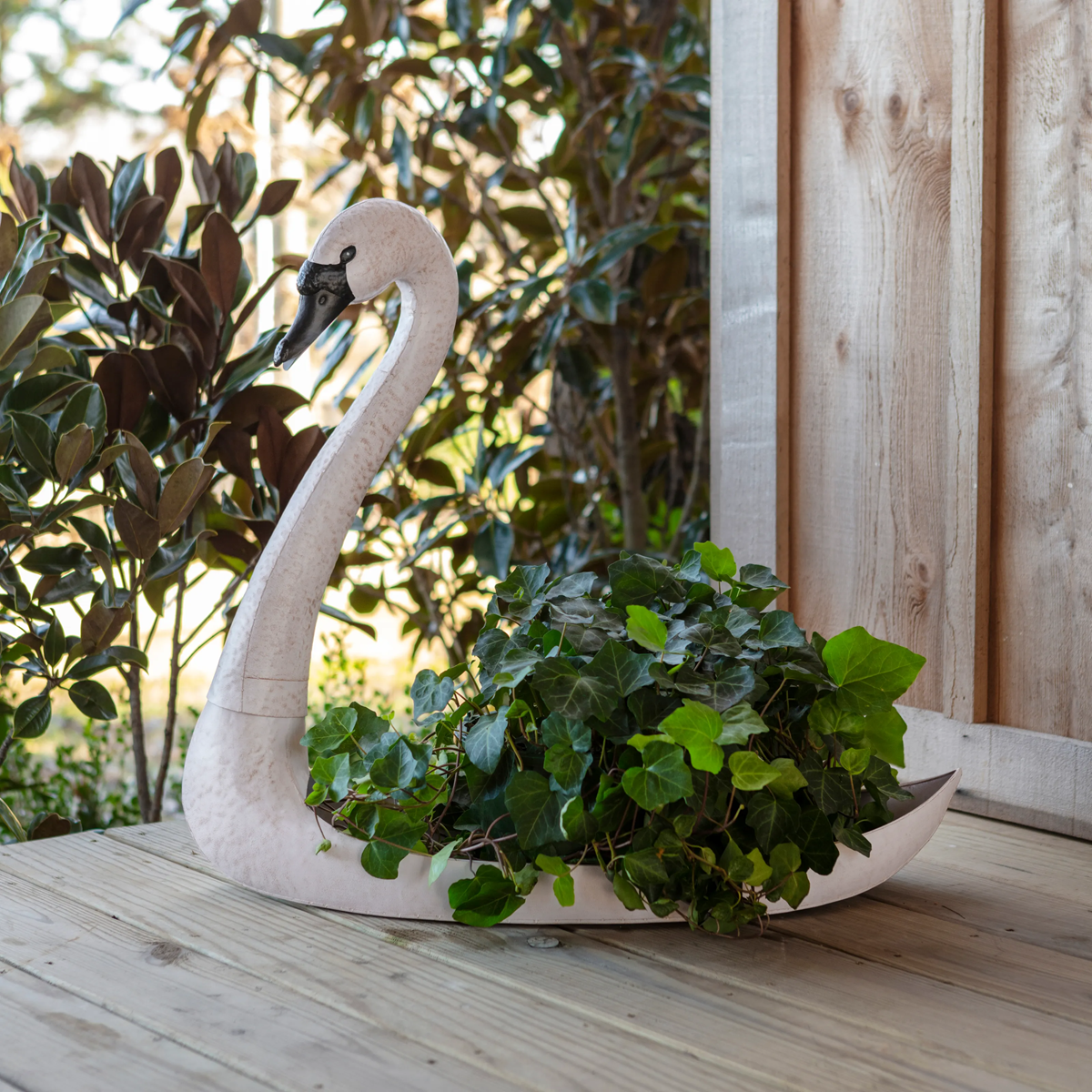 swan pot plant holder Swan Container