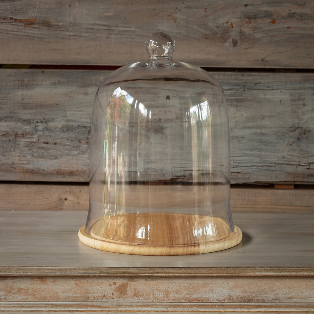 Glass Cloche #12 with Wooden Base Set/2
