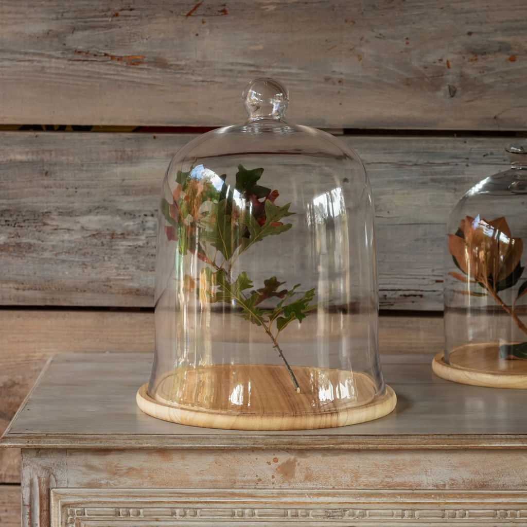 Glass Cloche #12 with Wooden Base Set/2