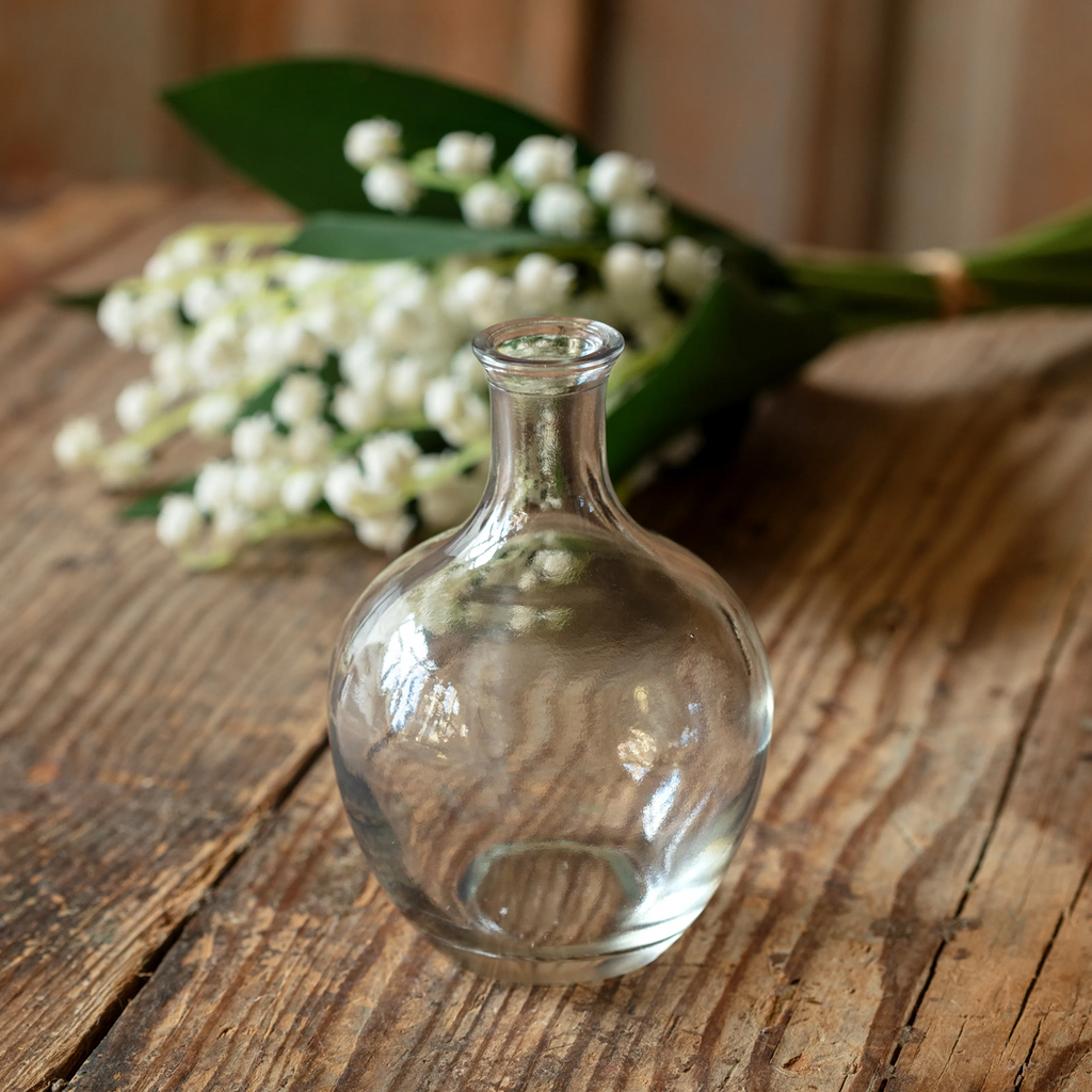 Petite Carafe Vases Set/6