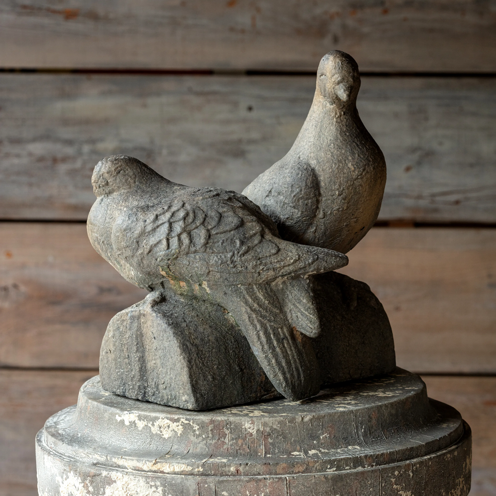 Terrasse Pigeons