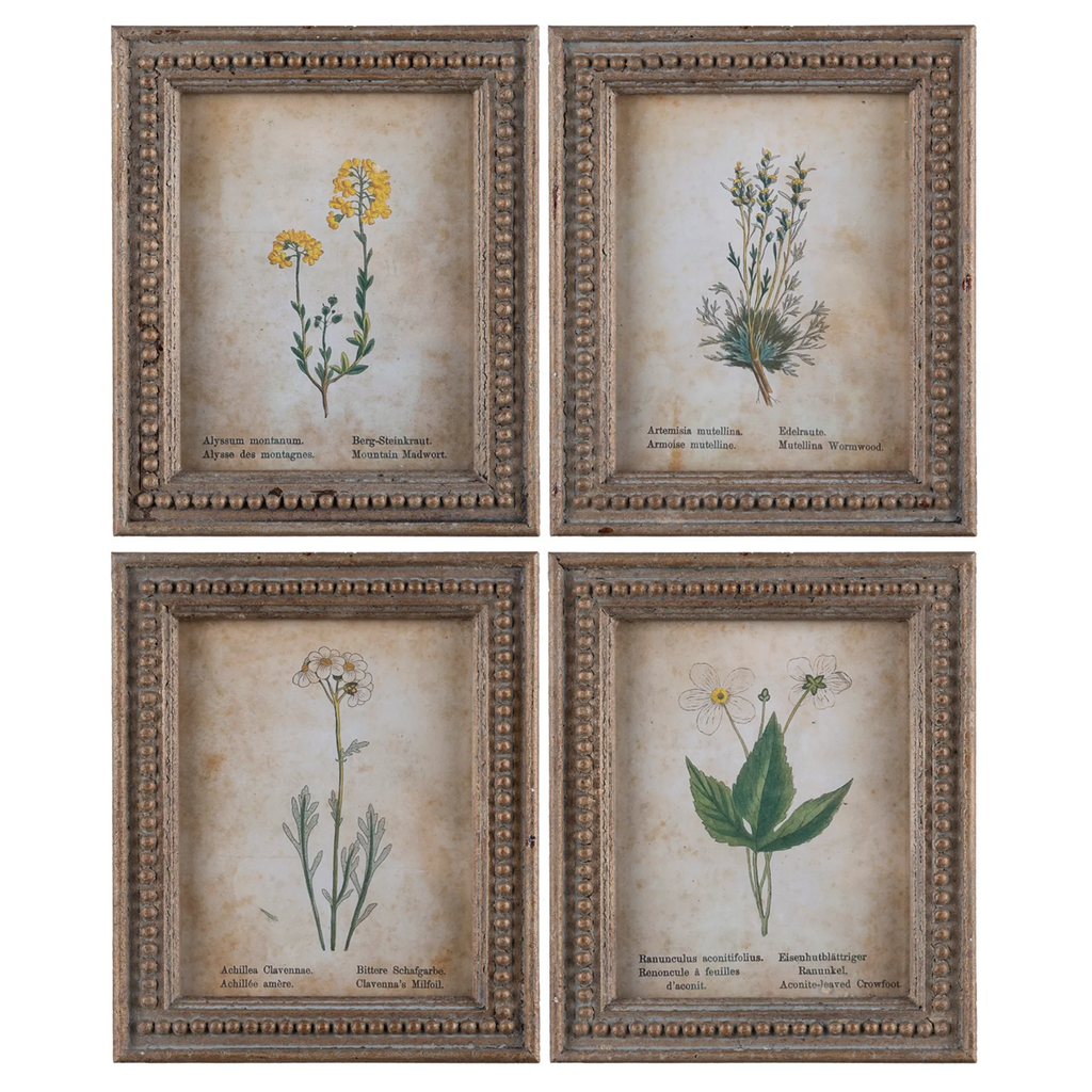Framed Aged Floral Prints Set/4
