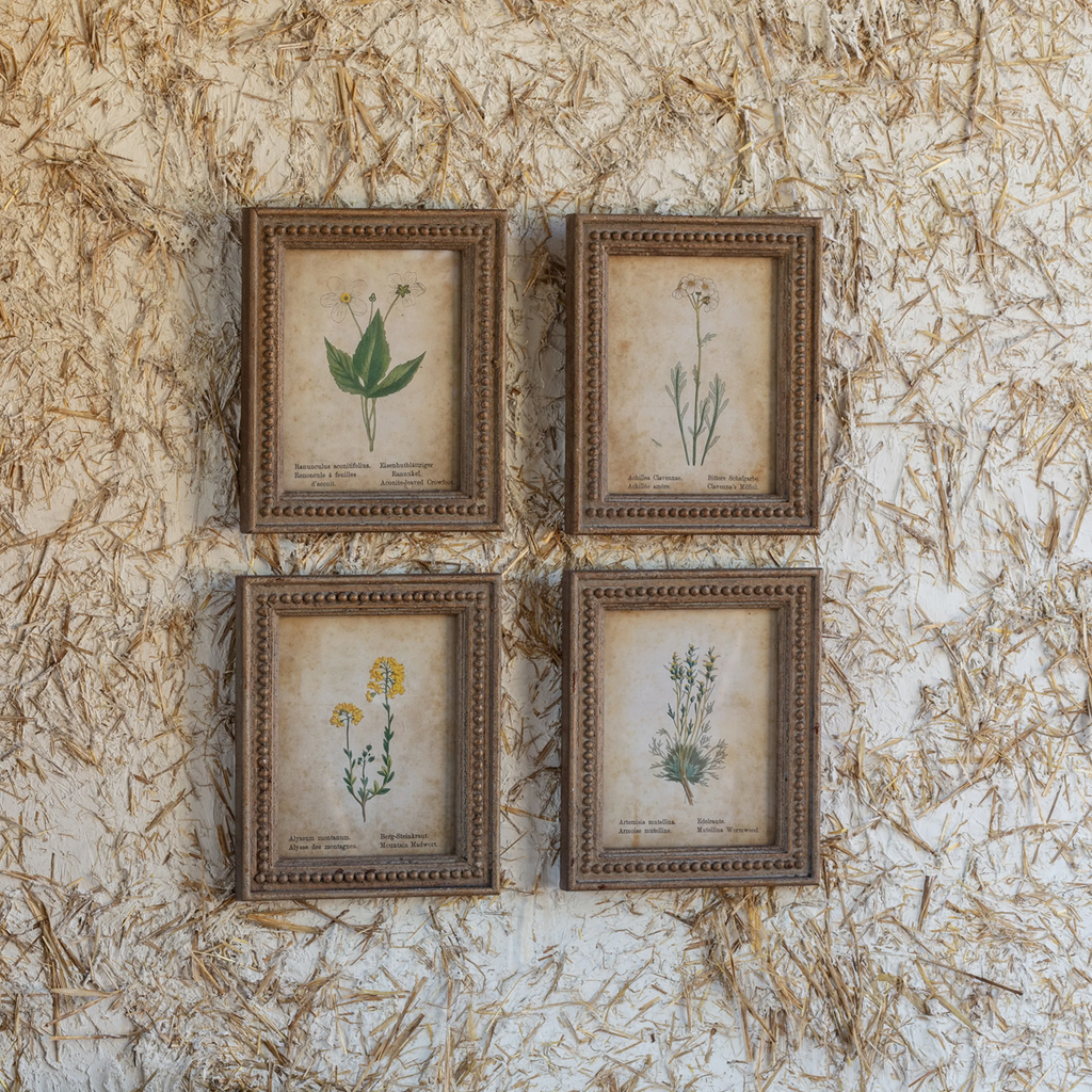 Framed Aged Floral Prints Set/4