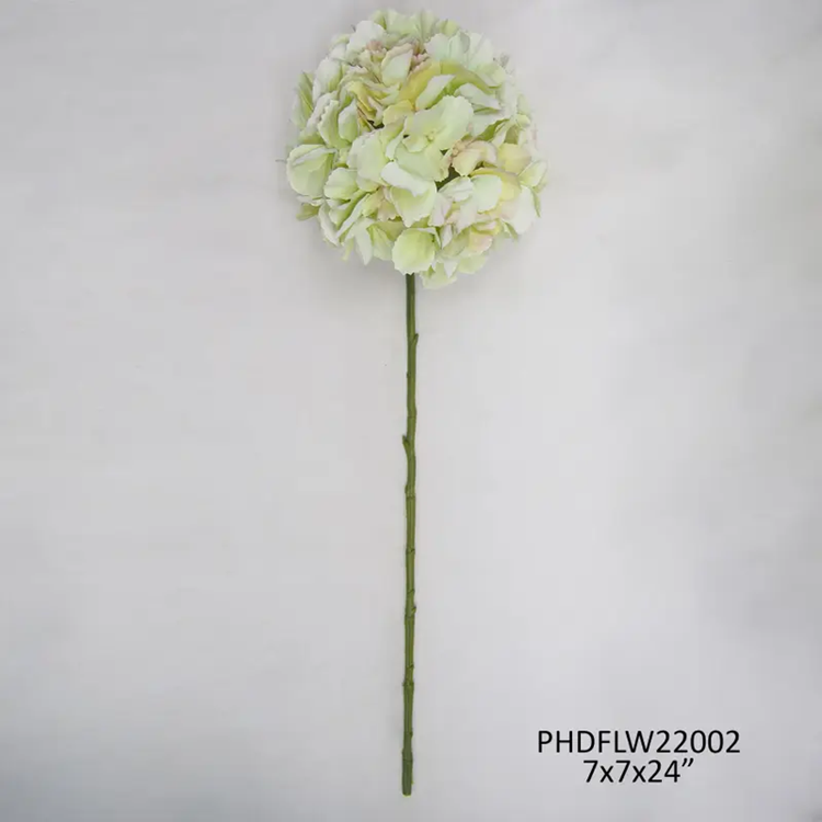 Hydrangea Stem Green Blush Box/12