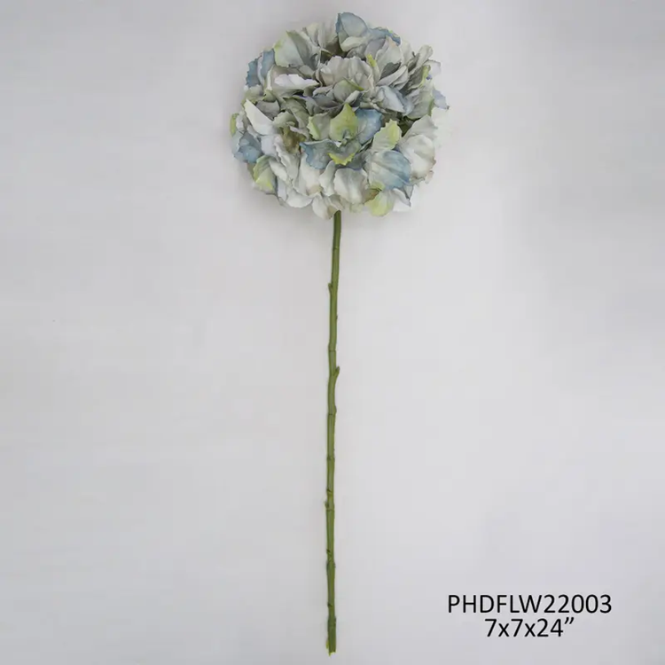 Hydrangea Stem Late Season Blue Box/12
