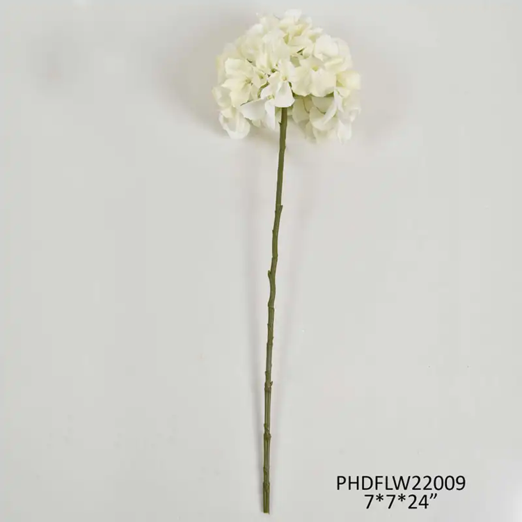 Hydrangea Stem White Box/12