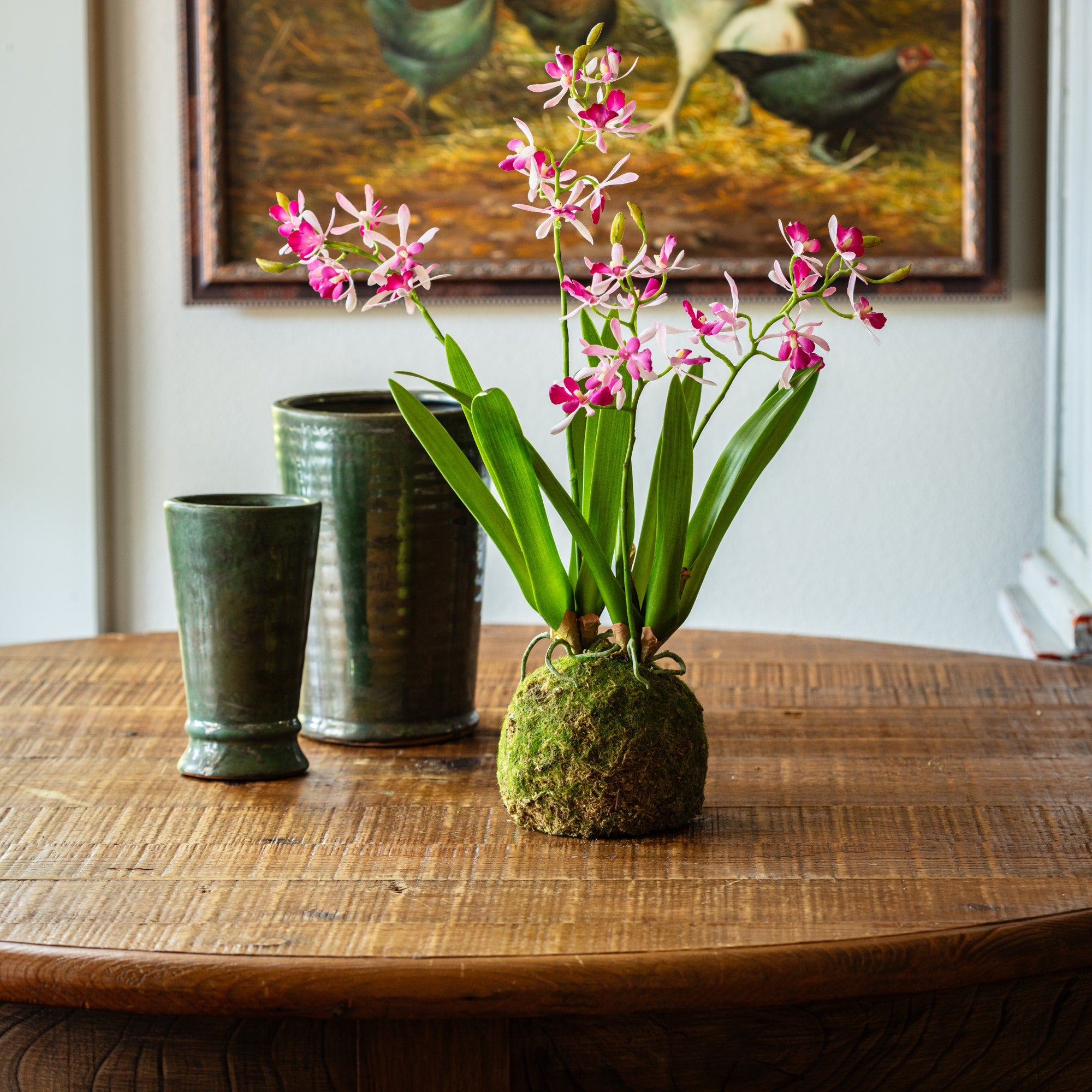 Porch View Home Vanda Orchid