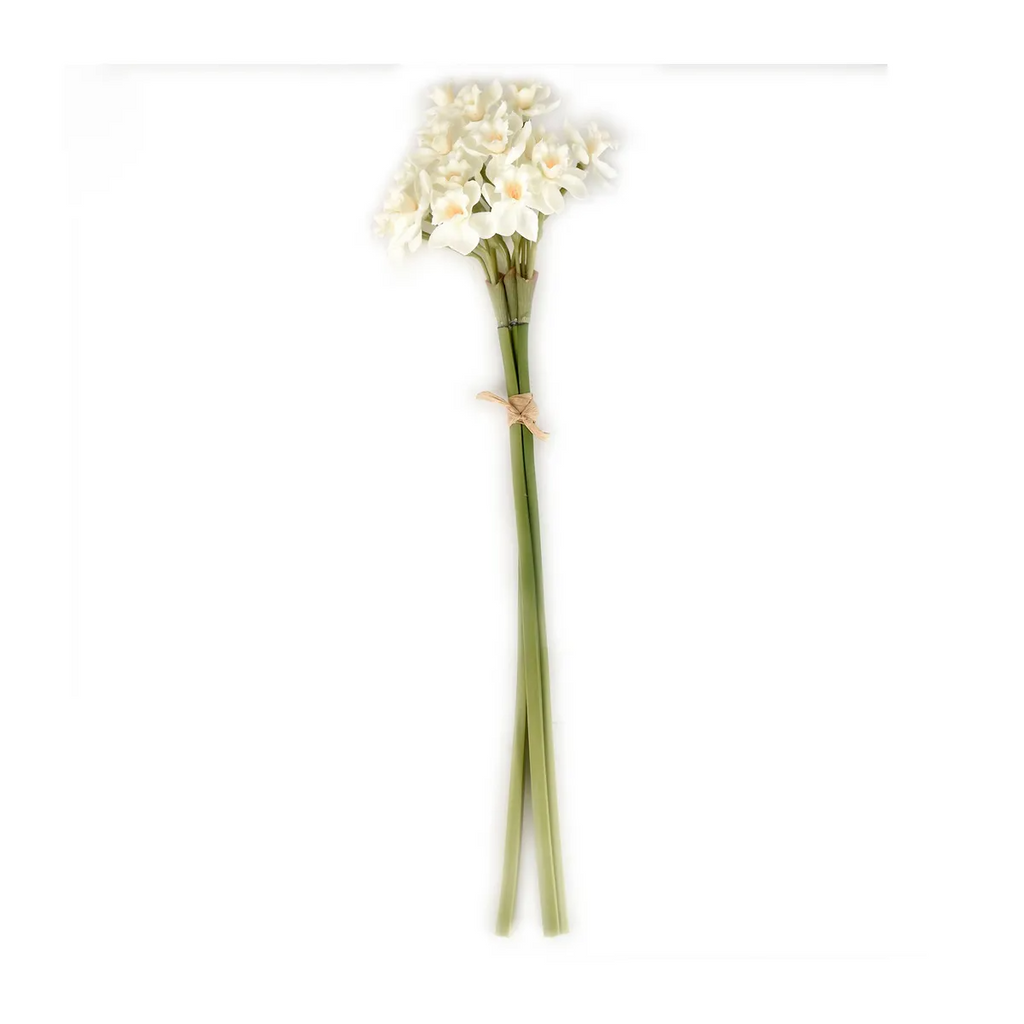 Narcissus Bunches (5 Colorways)