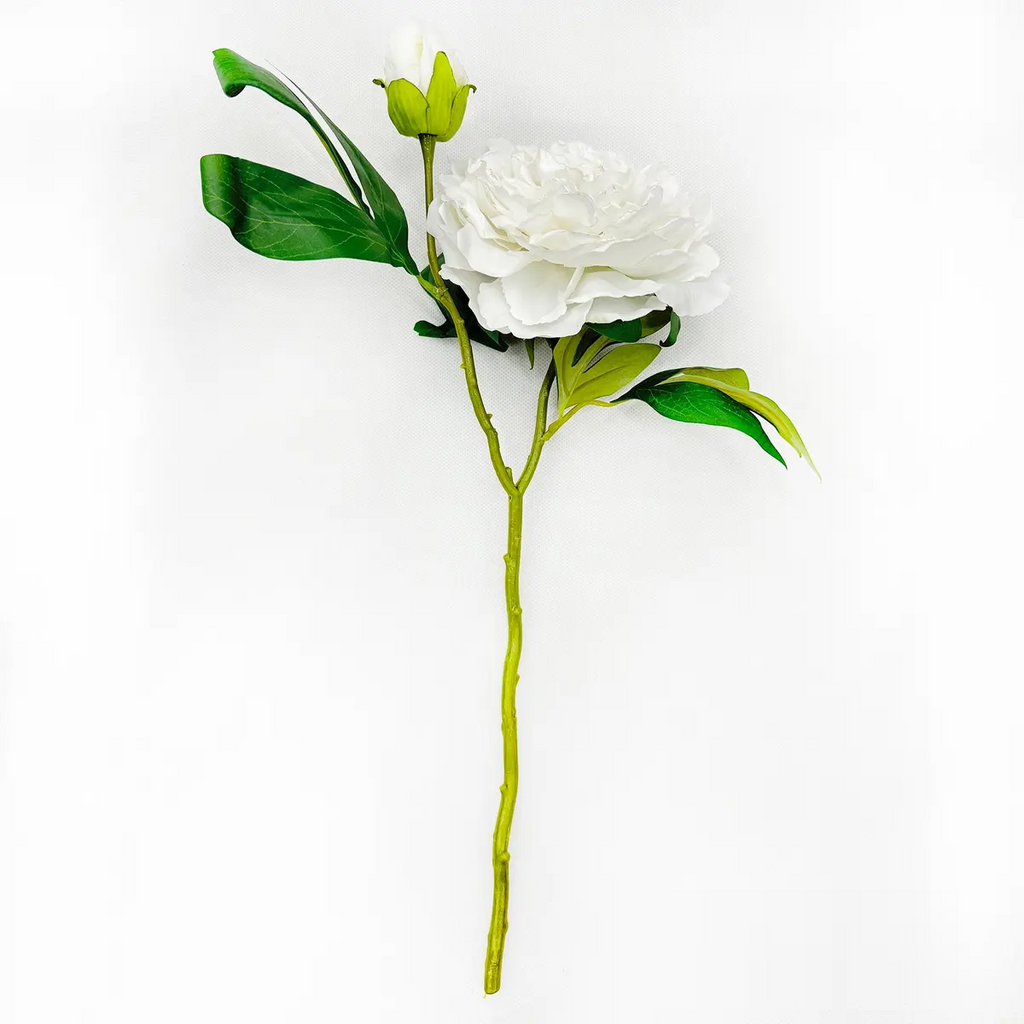 Royal Peony Bridal White Stems Box/12