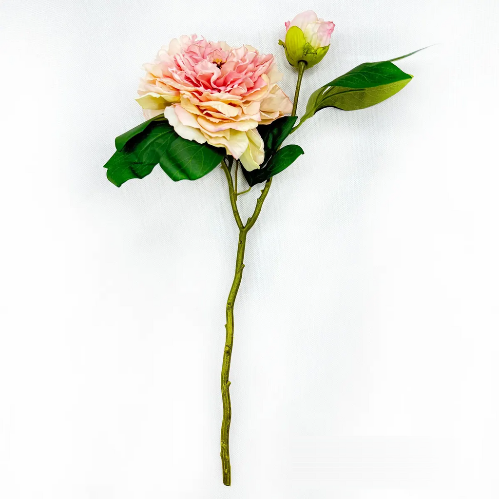 Royal Peony Bridal Parfait Stems Box/12