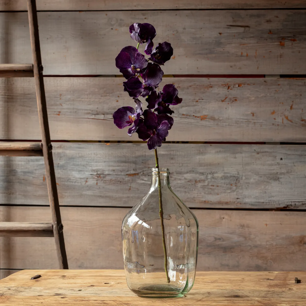 Deep Purple Vanda Orchid Stems Box/12