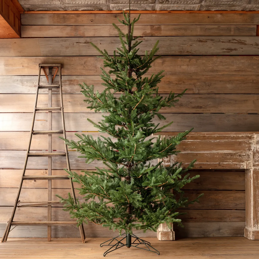 Porch View Home Noble Fir Christmas Tree 10'