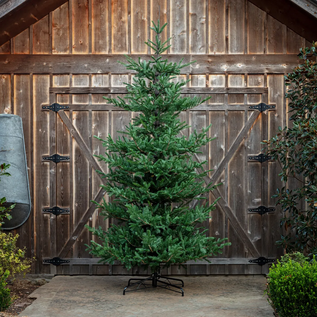 Porch View Home Noble Fir Christmas Tree 12'