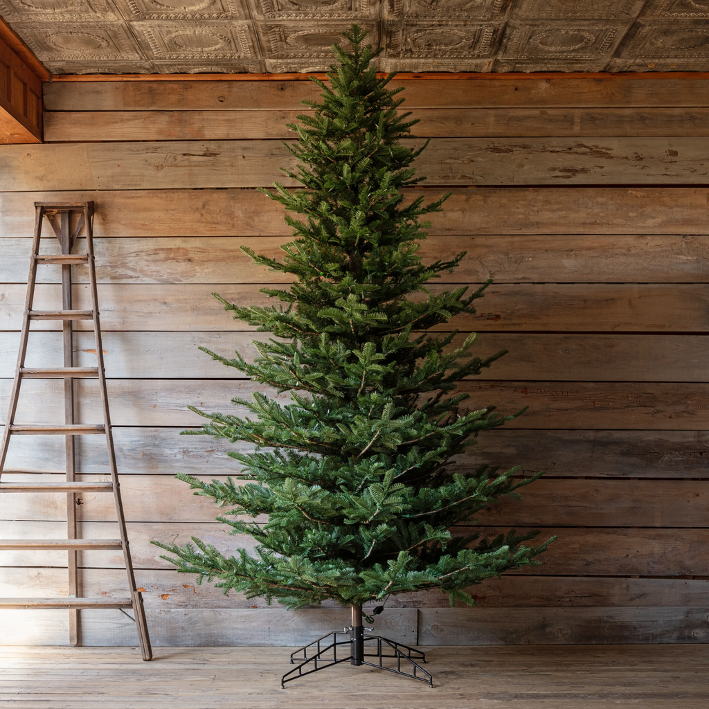 Porch View Home Grand Noble Tree 10' with Dimmer Switch