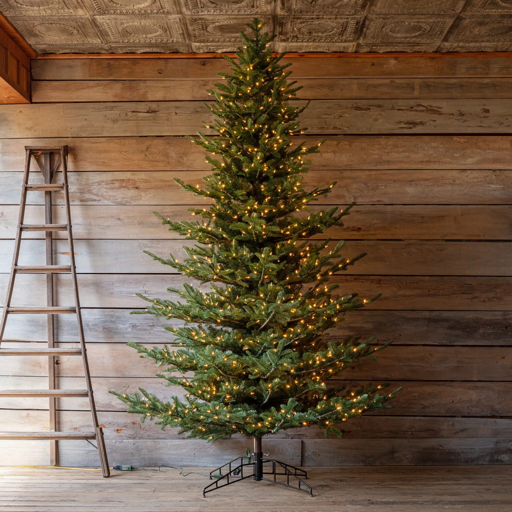 Porch View Home Grand Noble Tree 10' with Dimmer Switch
